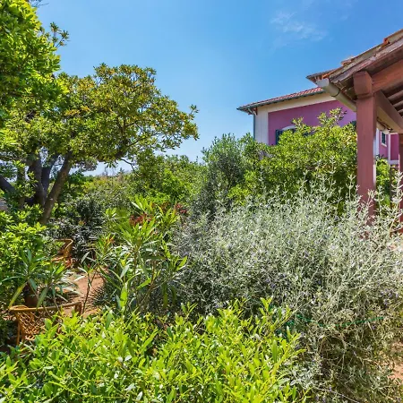 Locazione Turistica I Lecci Castiglioncello