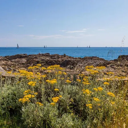 Casa vacanze Locazione Turistica I Lecci Castiglioncello